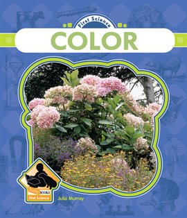 Cover image for Color