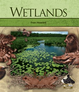 Imagen de portada para Wetlands