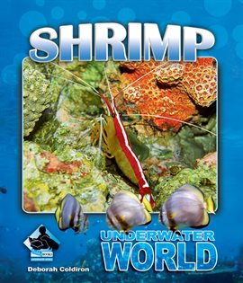 Imagen de portada para Shrimp