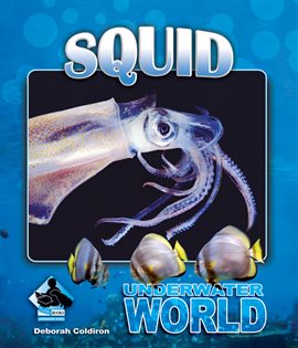 Imagen de portada para Squid