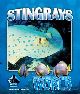Imagen de portada para Stingrays
