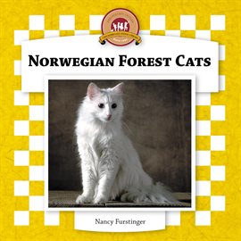Cover image for Norwegian Forest Cats