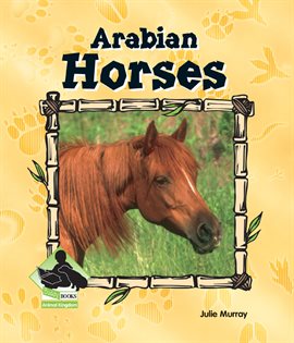 Cover image for Animal Kingdom: Arabian Horses