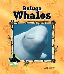 Cover image for Beluga Whales