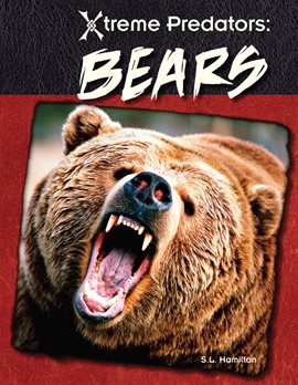 Cover image for Bears