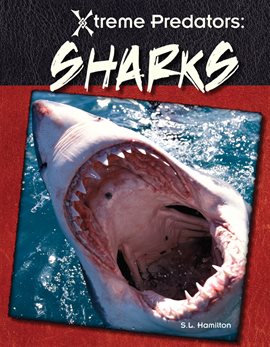 Cover image for Sharks
