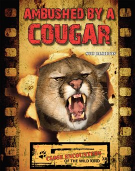 Cover image for Ambushed by a Cougar