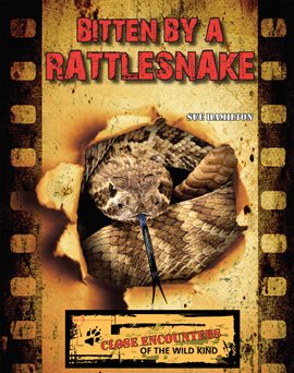 Cover image for Bitten by a Rattlesnake