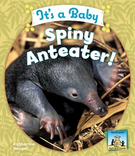 Cover image for It's a Baby Spiny Anteater!