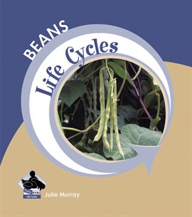 Cover image for Beans