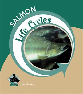 Cover image for Salmon