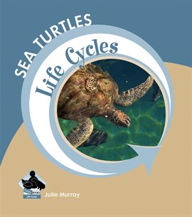 Cover image for Sea Turtles