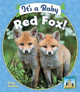 Cover image for It's a Baby Red Fox