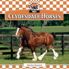 Cover image for Clydesdale Horses