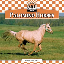 Cover image for Palomino Horses