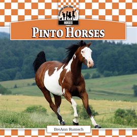 Cover image for Pinto Horses