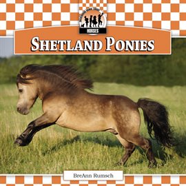 Cover image for Shetland Ponies