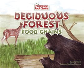 Cover image for Deciduous Forest Food Chains