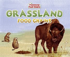 Cover image for Grassland Food Chains