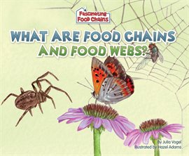 Cover image for What Are Food Chains and Food Webs?