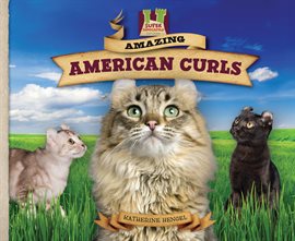 Imagen de portada para Amazing American Curls