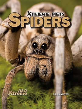 Cover image for Spiders