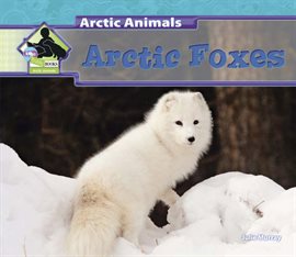 Cover image for Arctic Foxes