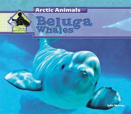Cover image for Beluga Whales