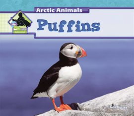 Cover image for Puffins