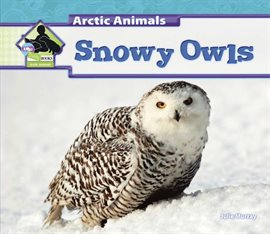 Cover image for Snowy Owls