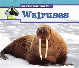 Cover image for Walruses