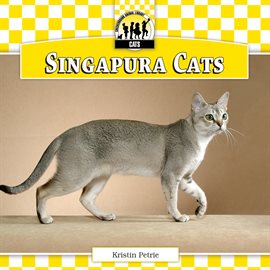 Cover image for Singapura Cats