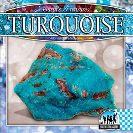Cover image for Turquoise