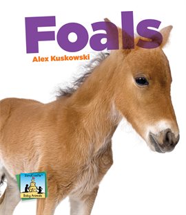 Cover image for Foals