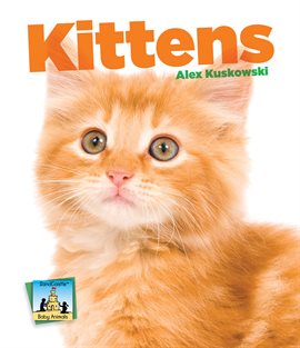 Cover image for Kittens