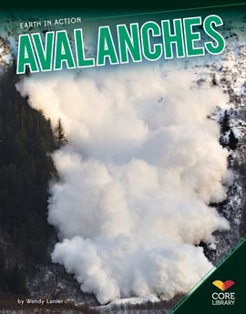 Cover image for Avalanches