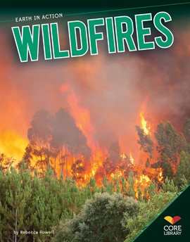 Cover image for Wildfires