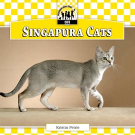 Imagen de portada para Singapura Cats