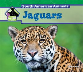 Cover image for Jaguars