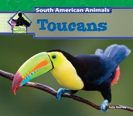 Cover image for Toucans