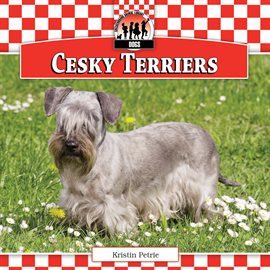 Cover image for Cesky Terriers