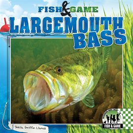 Cover image for Largemouth Bass