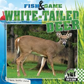 Cover image for White-Tailed Deer