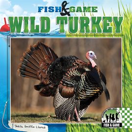 Cover image for Wild Turkey