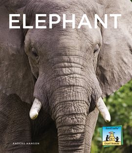 Cover image for Elephant