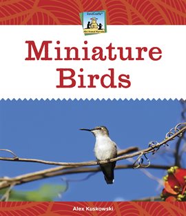 Cover image for Miniature Birds