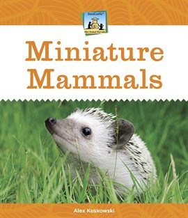 Cover image for Miniature Mammals
