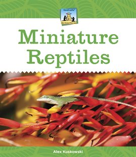 Cover image for Miniature Reptiles