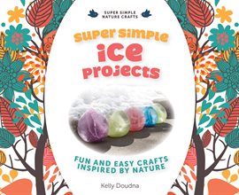 Cover image for Super Simple Ice Projects