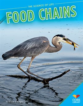 Cover image for Food Chains